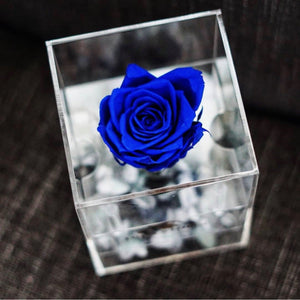 Purest Crystal Box by Fleurs D'épargne | Red Deer Florist | House of Fiori
